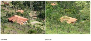 reflorestamento obtido pela prevenção de incêndios.