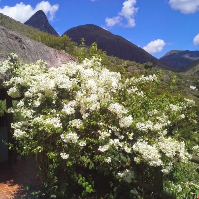 Paisagem - foto Aldo Rangel