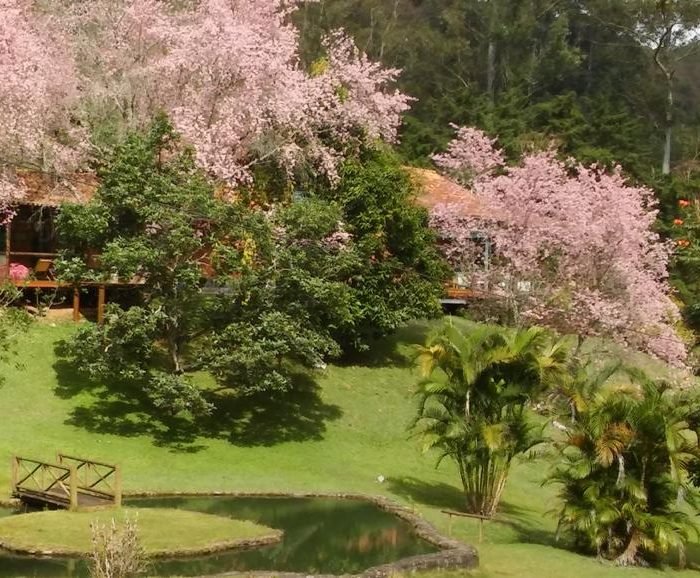 jardim do sitio - foto de André Mello
